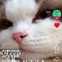 沧州市单身无线通信工程师M个人资料照片