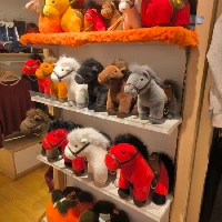 广州市单身项目经理东东个人资料照片