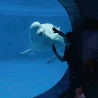 长沙市单身医疗器械生产/质量管理向往而生个人资料照片