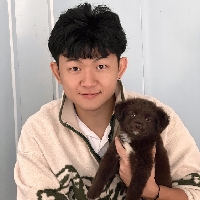 广州市单身运营管理猫九个人资料照片