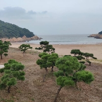 重庆市单身旅游顾问will个人资料照片