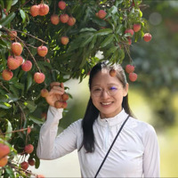 姝林