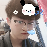 看海的猫