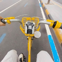 黑皮