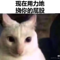 大连市单身在读学生小比个人资料照片