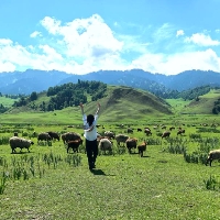 被窝哲学家