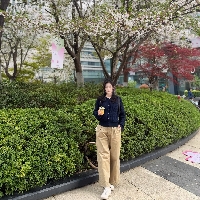 叶子