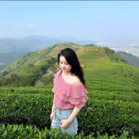 叽里咕噜说啥呢