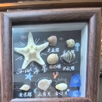 冬夏